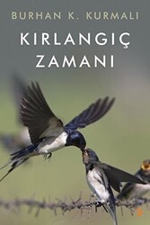 Kırlangıç Zamanı - Cinius Yayınları