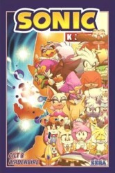 Kirpi Sonic Cit 8 – Birdenbire - Presstij Kitap