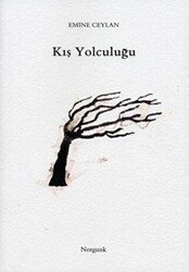 Kış Yolculuğu - Norgunk Yayıncılık