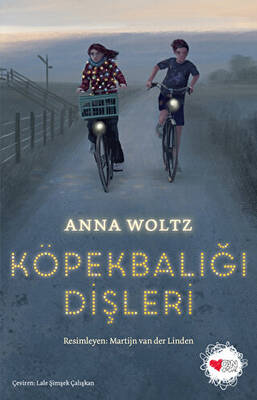 Köpekbalığı Dişleri - 1