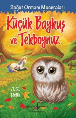 Küçük Baykuş ve Tekboynuz – Söğüt Ormanı Maceraları - 1