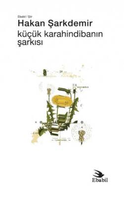 Küçük Karahindibanın Şarkısı - 1