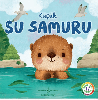 Küçük Su Samuru - 1