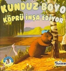 Kunduz Boyo Köprü İnşa Ediyor - Ormandan Hikayeler - Teleskop Popüler Bilim