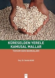Küreselden Yerele Kamusal Mallar - Dora Basım Yayın