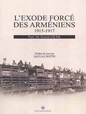L`exode Force Des Armeniens 1915-1917 - 1