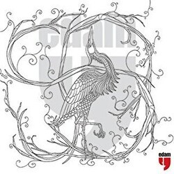 Leylek Boyama Föyü - 20’li Paketler Halinde - EDAM