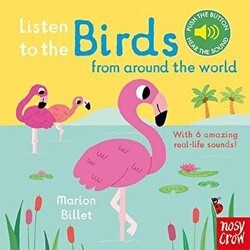 Listen to the Birds - Nosy Crow