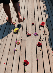 Lokman - Masa Yayınevi