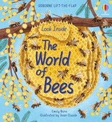 Look Inside the World of Bees - Usborne