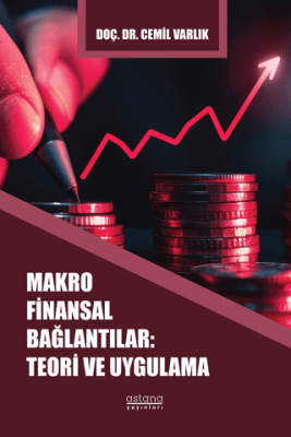 Makro Finansal Bağlantılar: Teori ve Uygulama - 1