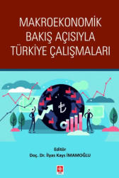 Makroekonomik Bakış Açısıyla Türkiye Çalışmaları - Ekin Basım Yayın