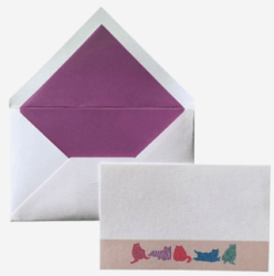 Maritera Cats Tebrik Kartı 10`lu Kutu - Maritera