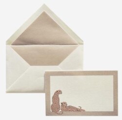 Maritera Cheetah Tebrik Kartı - Maritera