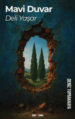 Mavi Duvar Deli Yaşar - 1