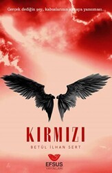 Mavi Kırmızı - Efsus Yayınları