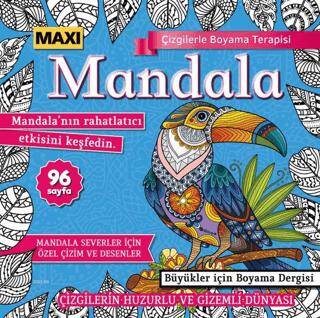 Maxi Mandala Çizgilerle Boyama Terapisi 11 - 1