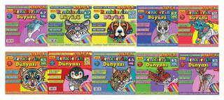 Maxi Renkler 10`lu Set - 1