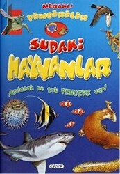 Meraklı Pencereler - Sudaki Hayvanlar - Çiçek Yayıncılık