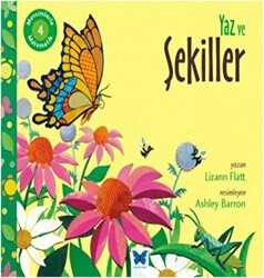 Mevsimlerle Matematik 4: Yaz ve Şekiller - Mavi Kelebek Yayınları