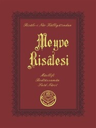 Meyve Risalesi Çanta Boy - Tenvir Neşriyat