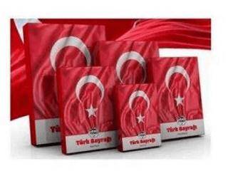 Mileo 1927 Türk Bayrağı 70x105 - 1