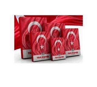 Mileo 1928 Türk Bayrağı 80x120 - 1