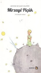 Mirzaye Piçük - Avesta Yayınları