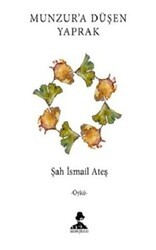 Munzur’a Düşen Yaprak - İmgenin Çocukları Yayınevi