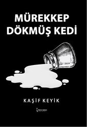 Mürekkep Dökmüş Kedi - İkinci Adam Yayınları