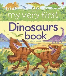 My First Book: My Very First Dinosaurs Book - Usborne
