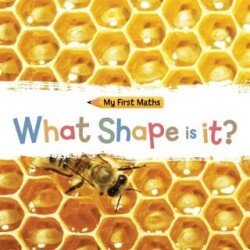 My First Maths: What Shape Is It? - Hachette Books