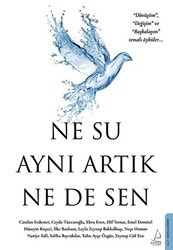 Ne Su Aynı Artık Ne de Sen - Destek Yayınları