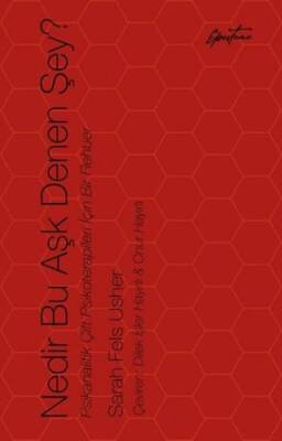 Nedir Bu Aşk Denen Şey? - 1