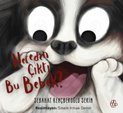 Nereden Çıktı Bu Bebek? - Ahbap Kitap