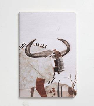 Nesin Defter - Antilop - 1