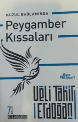 Nüzul Bağlamında Peygamber Kıssaları Bana Ne Diyor? - 1