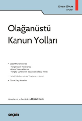 Olağanüstü Kanun Yolları - Seçkin Yayıncılık