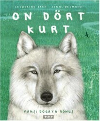 On Dört Kurt - Ketebe Çocuk