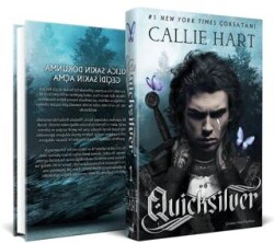 Quicksilver - İndigo Kitap