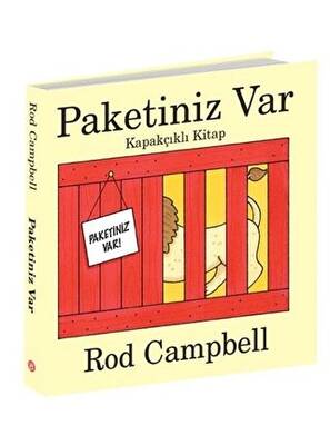 Paketiniz Var Kapakçıklı Kitap
