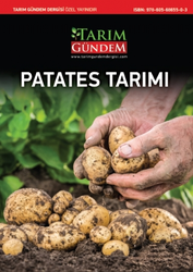 Patates Tarımı - Tarım Gündem Dergisi