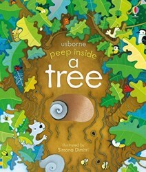 Peep Inside a Tree - Usborne