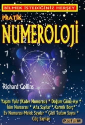 Pratik Numeroloji - Platform Yayınları