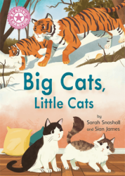 Reading Champion: Big Cats, Little Cats - Franklin Watts