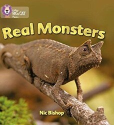 Real Monsters Big Cat Phonics-3 Yellow - HarperCollins