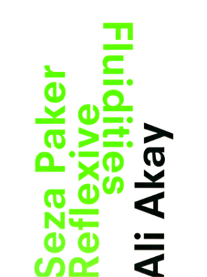 Reflexive Fluidities - 1