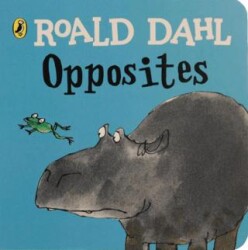 Roald Dahl: Opposites - Puffin Books
