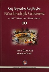 Sağ Beyinden Sağ Beyine Nörobiyolojik Gelişimimiz - Psikoterapi Enstitüsü