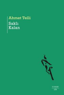 Saklı Kalan - 1